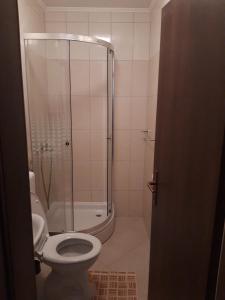 a bathroom with a shower and a toilet in it at Apartment Blaca 4899e in Maranovići