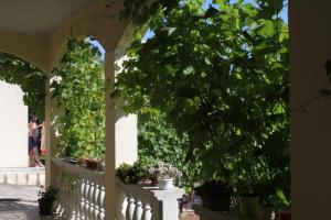 Fotografia z galérie ubytovania Apartment Makarska 6792c v destinácii Makarska