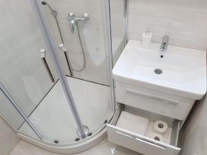 Łazienka w obiekcie Apartment Starigrad 6621a