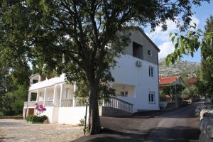 a white house with a tree in front of it at Apartment Starigrad 6587b in Starigrad-Paklenica