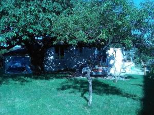 Vonkajšia záhrada v ubytovaní MAISON A 10MIN DU ZOO DE BEAUVAL