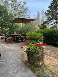 un tavolo da picnic con ombrellone e fiori in un ceppo di Casa Lastri a Poppi