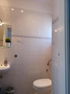 a bathroom with a toilet and a sink at Studio Banjol 5071a in Rab +25 photos