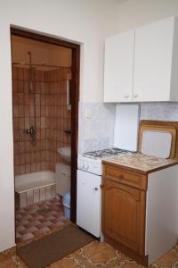 Il comprend une cuisine équipée d'un évier, d'une cuisinière et d'une baignoire. dans l'établissement Studio Povljana 6476a, à Povljana