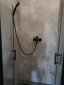 a shower with a shower head in a bathroom at Zdomek in Teplice nad Metují