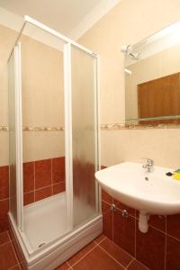 a bathroom with a shower and a sink at Double Room Metajna 6487d in Metajna