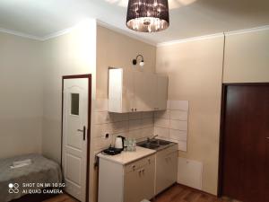 Kuchyňa alebo kuchynka v ubytovaní Motel Panorama + 37 fotografií