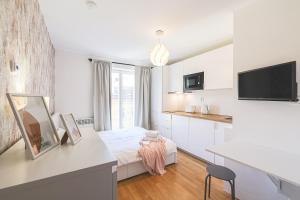 布拉格的住宿－DEAR Apartment，白色客房 - 带床和厨房