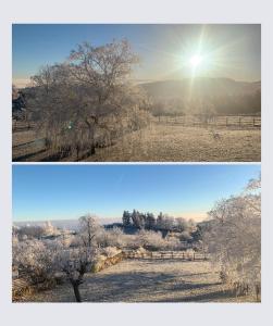 zwei Bilder eines Feldes mit einem Baum und der Sonne in der Unterkunft Les Fermes de Manat gîte romantique avec piscine balnéo et sauna 