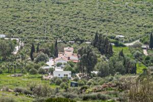 een huis midden op een heuvel met bomen bij Finca El Limonar in Alora