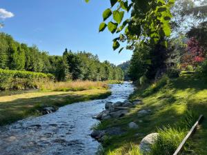 a river in the middle of a field with trees at Villa Capra - Apartments Adult Only in Zakopane