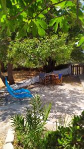 A garden outside Almond trees house