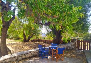 A garden outside Almond trees house