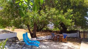 A garden outside Almond trees house