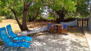 A garden outside Almond trees house