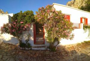 A garden outside Almond trees house