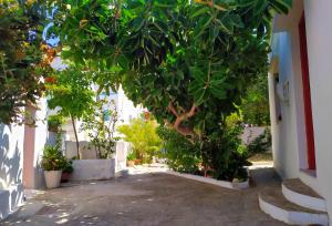 Kép Almond trees house szállásáról Ormósz Ejáliszban a galériában