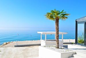 uma palmeira sentada ao lado da praia em Family friendly apartments with a swimming pool Kozino, Zadar - 18128 em Kožino