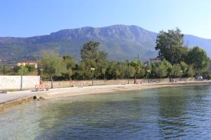 Príroda v okolí apartmánu + 11 fotografií