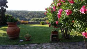 Gallery image of Villa La Liccia Misia in Santa Teresa Gallura
