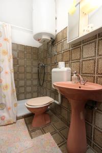 a bathroom with a toilet and a sink and a shower at Apartments by the sea Sucuraj, Hvar - 6732 in Sućuraj