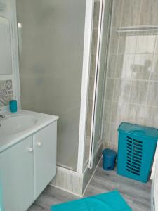 a bathroom with a shower and a sink at Appartement T 2 AVEC PISCINE in Lacanau