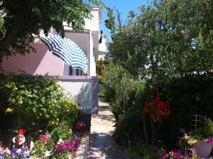 Zahrada ubytování Apartments with parking space Kampor, Rab - 4985