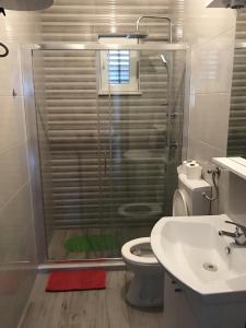 a bathroom with a shower and a toilet and a sink at Apartments with a parking space Sobra, Mljet - 4926 in Babino Polje