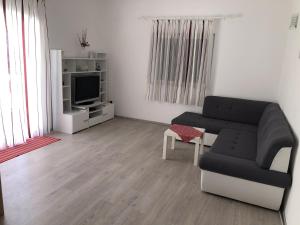a living room with a couch and a tv at Apartments by the sea Kozarica, Mljet - 4950 in Kozarica