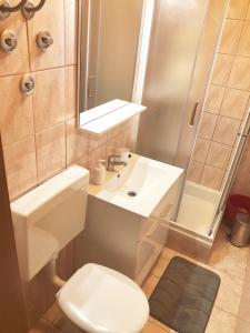 uma casa de banho com um lavatório, um WC e um espelho. em Apartments by the sea Kozarica, Mljet - 4950 em Kozarica