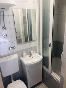 een badkamer met een toilet, een wastafel en een douche bij Apartments by the sea Kozarica, Mljet - 4950 in Kozarica