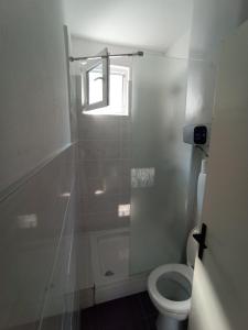 a bathroom with a toilet and a shower with a window at Apartments by the sea Supetarska Draga - Donja, Rab - 5042 in Supetarska Draga