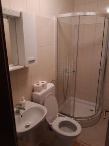 a bathroom with a shower and a toilet and a sink at Apartments by the sea Cove Blaca, Mljet - 4899 in Saplunara