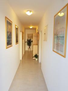 Fotografie z fotogalerie ubytování Family friendly apartments with a swimming pool Barbat, Rab - 4951 v Rabu