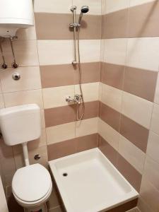 Koupelna v ubytování Family friendly apartments with a swimming pool Barbat, Rab - 4951