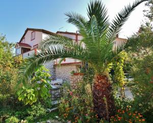 a palm tree in a garden in front of a house at Apartments with a parking space Kampor, Rab - 5000 in Rab