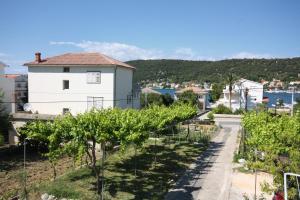 a row of grapes in a vineyard at Apartments by the sea Supetarska Draga - Donja, Rab - 4981 in Supetarska Draga