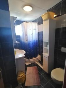 a bathroom with a sink and a toilet and a shower at Apartments with a parking space Lopar, Rab - 5019 in Lopar