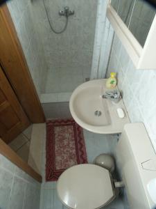 une petite salle de bain avec toilettes et lavabo dans l'établissement Rooms by the sea Slano, Dubrovnik - 5205, à Slano