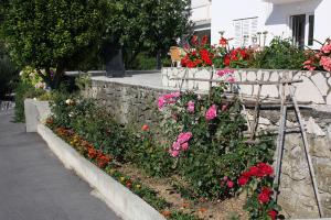 Zahrada ubytování Apartments by the sea Kampor, Rab - 5059