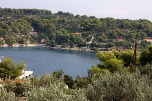 a view of a body of water with trees at Seaside apartments with a swimming pool Rogac, Solta - 5183 in Grohote