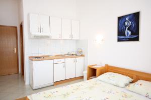 Kuchyň nebo kuchyňský kout v ubytování Apartments with a parking space Drvenik Gornja vala, Makarska - 4890 + 37 fotografií
