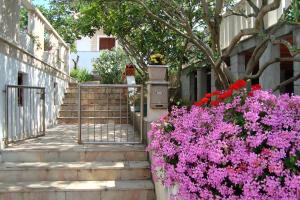 Zahrada ubytování Apartments by the sea Necujam, Solta - 5162