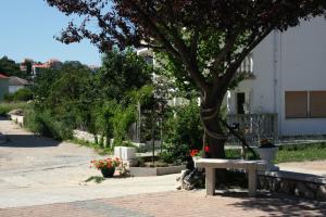 Zahrada ubytování Apartments and rooms by the sea Palit, Rab - 5044