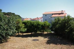 Zahrada ubytování Apartments and rooms by the sea Palit, Rab - 5044