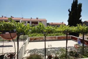 Zahrada ubytování Apartments and rooms with parking space Palit, Rab - 5061
