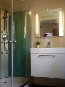 ein Bad mit einer Dusche, einem Waschbecken und einem Spiegel in der Unterkunft Dishoek in Dishoek