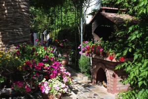 Zahrada ubytování Apartments and rooms by the sea Palit, Rab - 5010