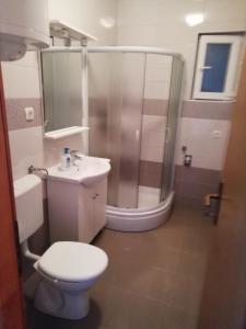 Apartments by the sea Cove Saplunara, Mljet - 4896 في Maranovići: حمام مع دش ومرحاض ومغسلة