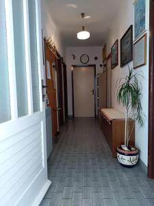 馬卡爾斯卡的住宿－Apartments with a parking space Makarska - 6784，门旁的盆子里放植物的走廊